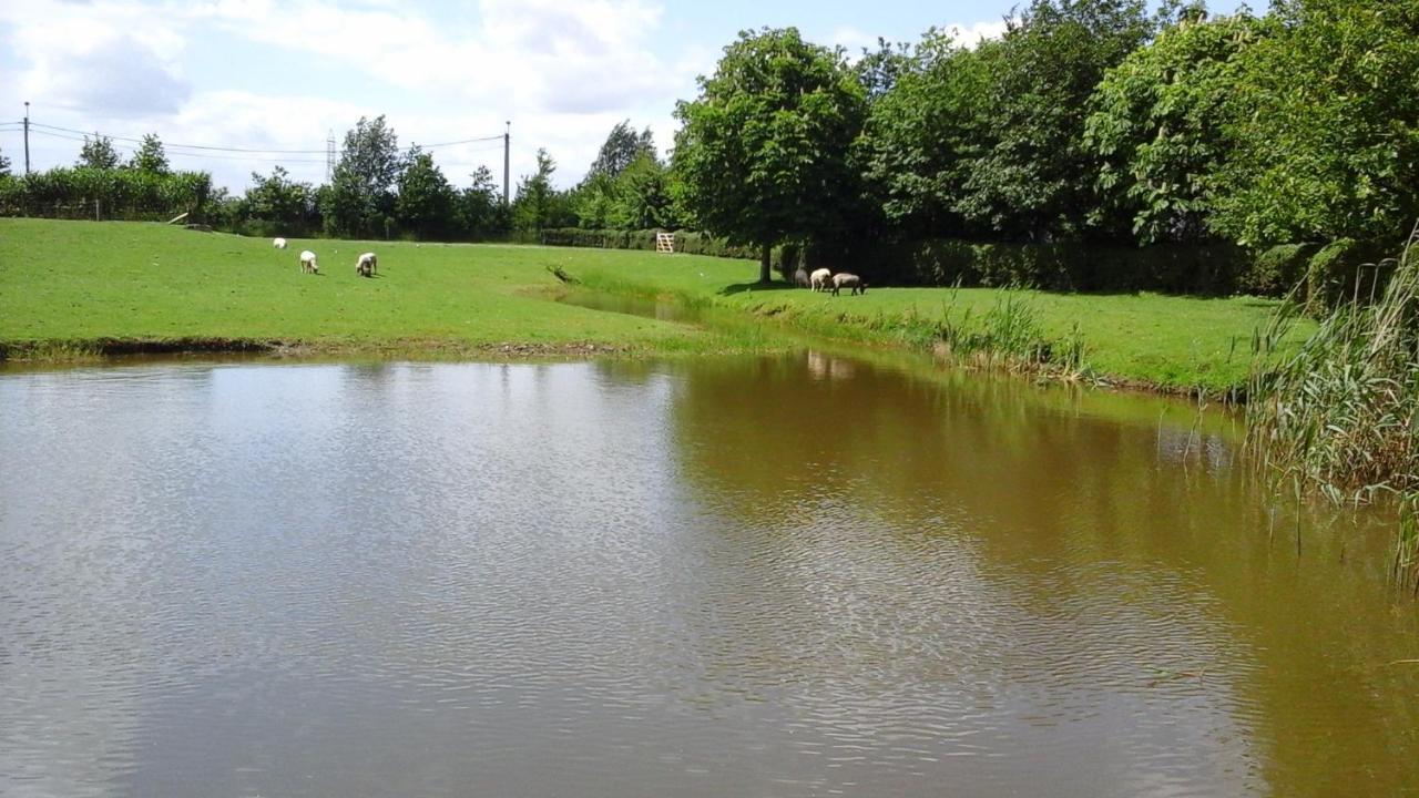 B&B De Hulst Izegem Exteriör bild