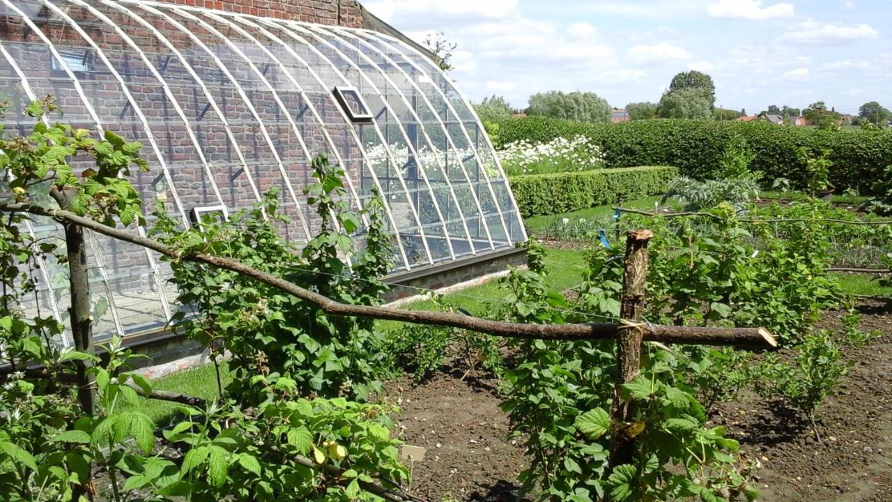 B&B De Hulst Izegem Exteriör bild