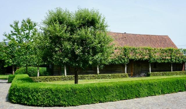 B&B De Hulst Izegem Exteriör bild