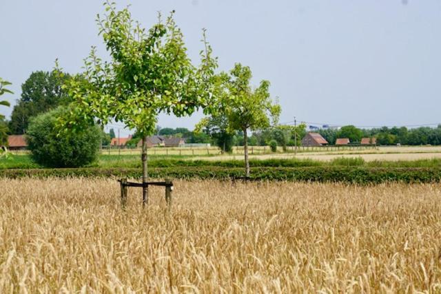 B&B De Hulst Izegem Exteriör bild